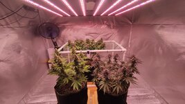 2026-02-16 08-33-20.JPG