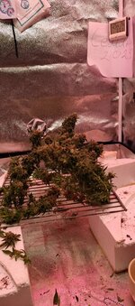 IMG_20260219_183918_933.jpg IMG_20260219_183918_933.jpg