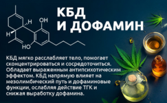 1771522484838.png 1771522484838.png