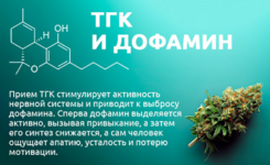 1771522522654.png 1771522522654.png