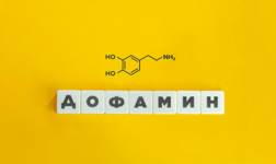 1771522618487.png 1771522618487.png