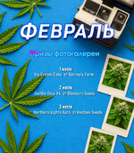 february.jpg february.jpg