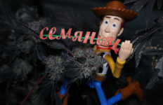 Снимок экрана 2026-02-22 002000.png