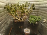 IMG_20260223_133635.jpg IMG_20260223_133635.jpg