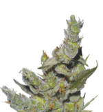 1771920745080.png 1771920745080.png