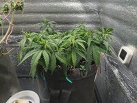 IMG_20260224_125713.jpg IMG_20260224_125713.jpg