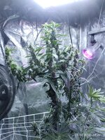 IMG_20260225_222056.jpg IMG_20260225_222056.jpg