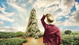 1772201492801.png 1772201492801.png