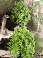 2026-03-01 200458.jpg