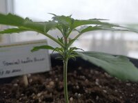 photo_2026-03-02_11-29-23 (2).jpg