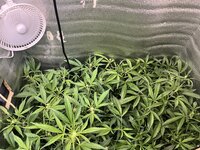 3 — копия.jpg 3 — копия.jpg