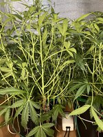 4 — копия.jpg 4 — копия.jpg