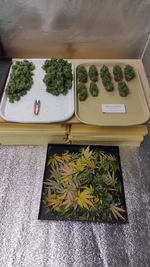 Ёк Макарёк!