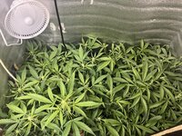 1 — копия.jpg