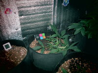 Летим в Астрал