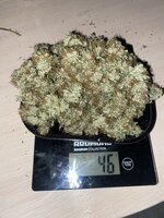 Мой первый* гров