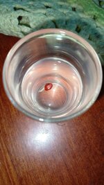 IMG_20260310_110332_061.jpg