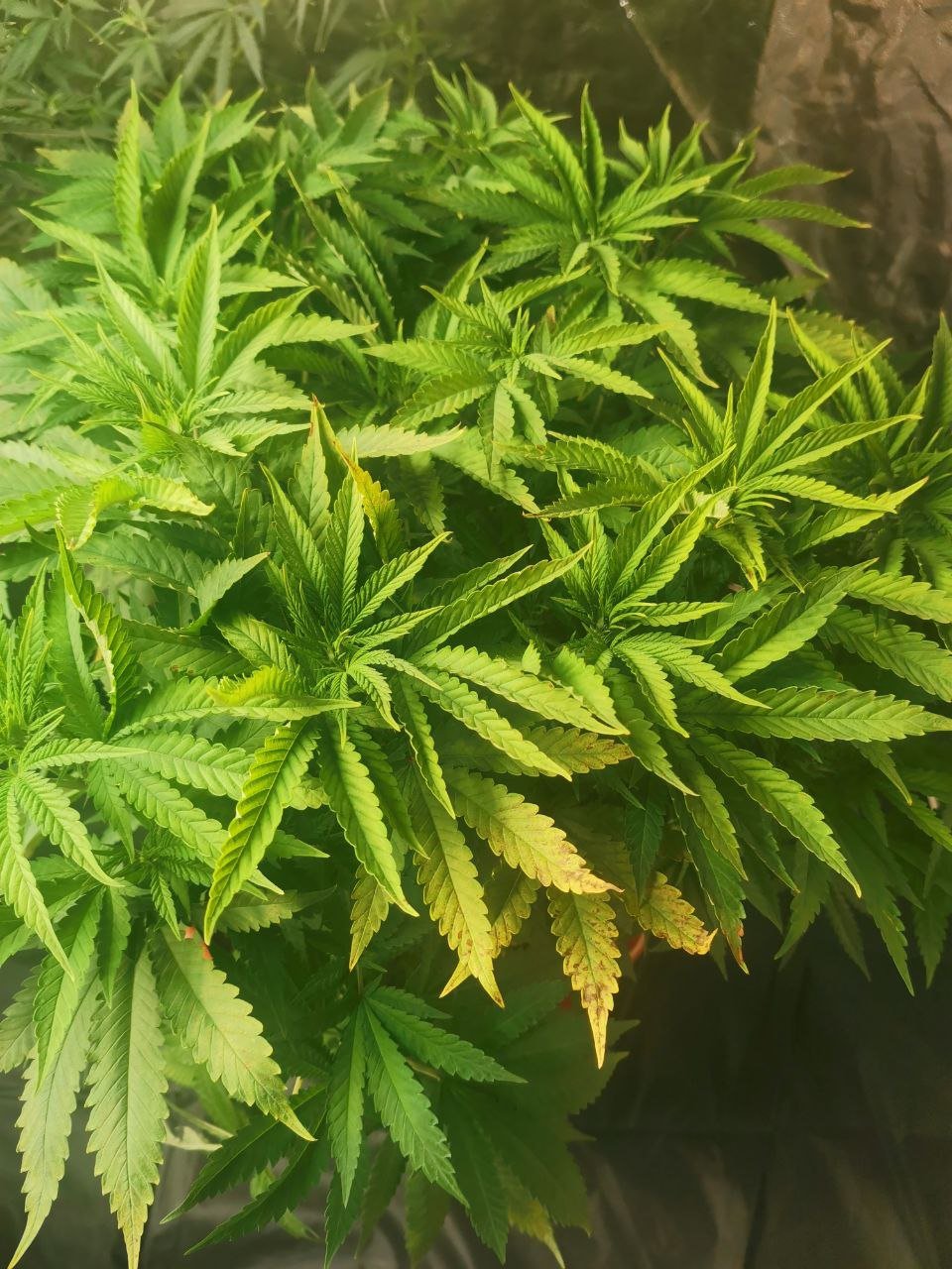 photo_2022-06-01 17.11.17.jpeg