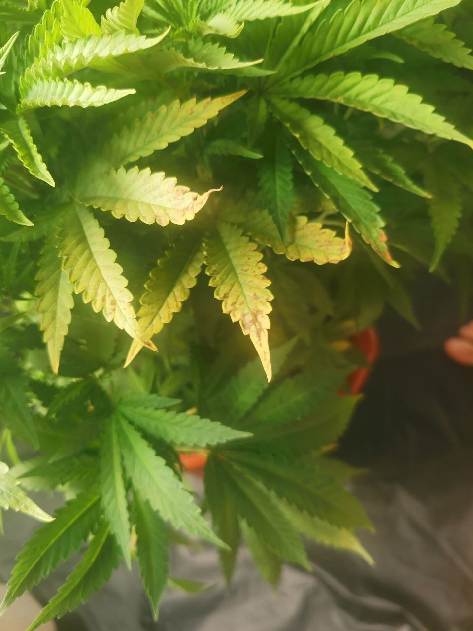 photo_2022-06-01 17.11.16.jpeg