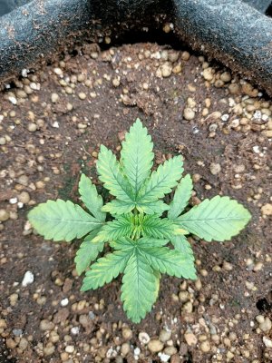 WhatsApp Image 2022-06-03 at 02.00.38 (1).jpeg WhatsApp Image 2022-06-03 at 02.00.38 (1).jpeg