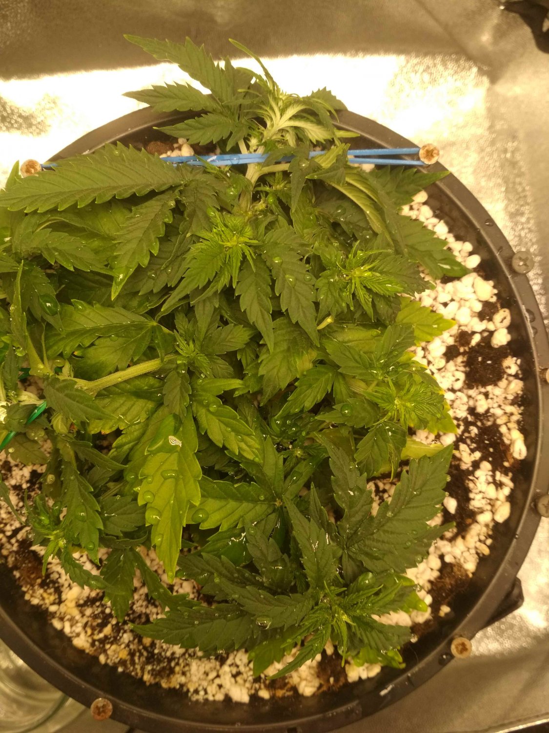 IMG_20220603_231056.jpg IMG_20220603_231056.jpg