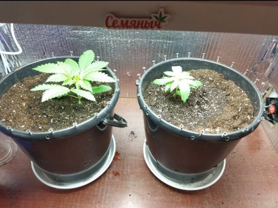 IMG_20220605_092228.jpg IMG_20220605_092228.jpg