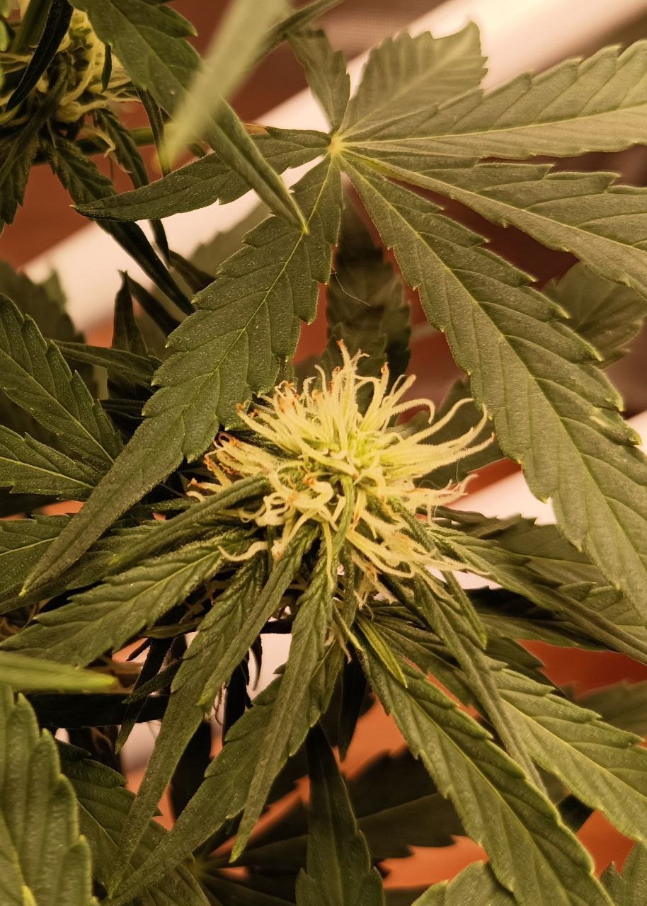 photo_2022-06-07_02-21-06.jpg photo_2022-06-07_02-21-06.jpg