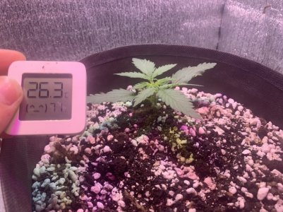 C0C7949B-5BE0-42F6-B322-616119AE044B.jpeg C0C7949B-5BE0-42F6-B322-616119AE044B.jpeg