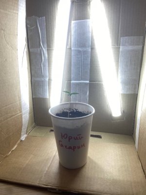 BF822AD8-D9CE-450B-8E3E-85BEDFFFEEEB.jpeg BF822AD8-D9CE-450B-8E3E-85BEDFFFEEEB.jpeg