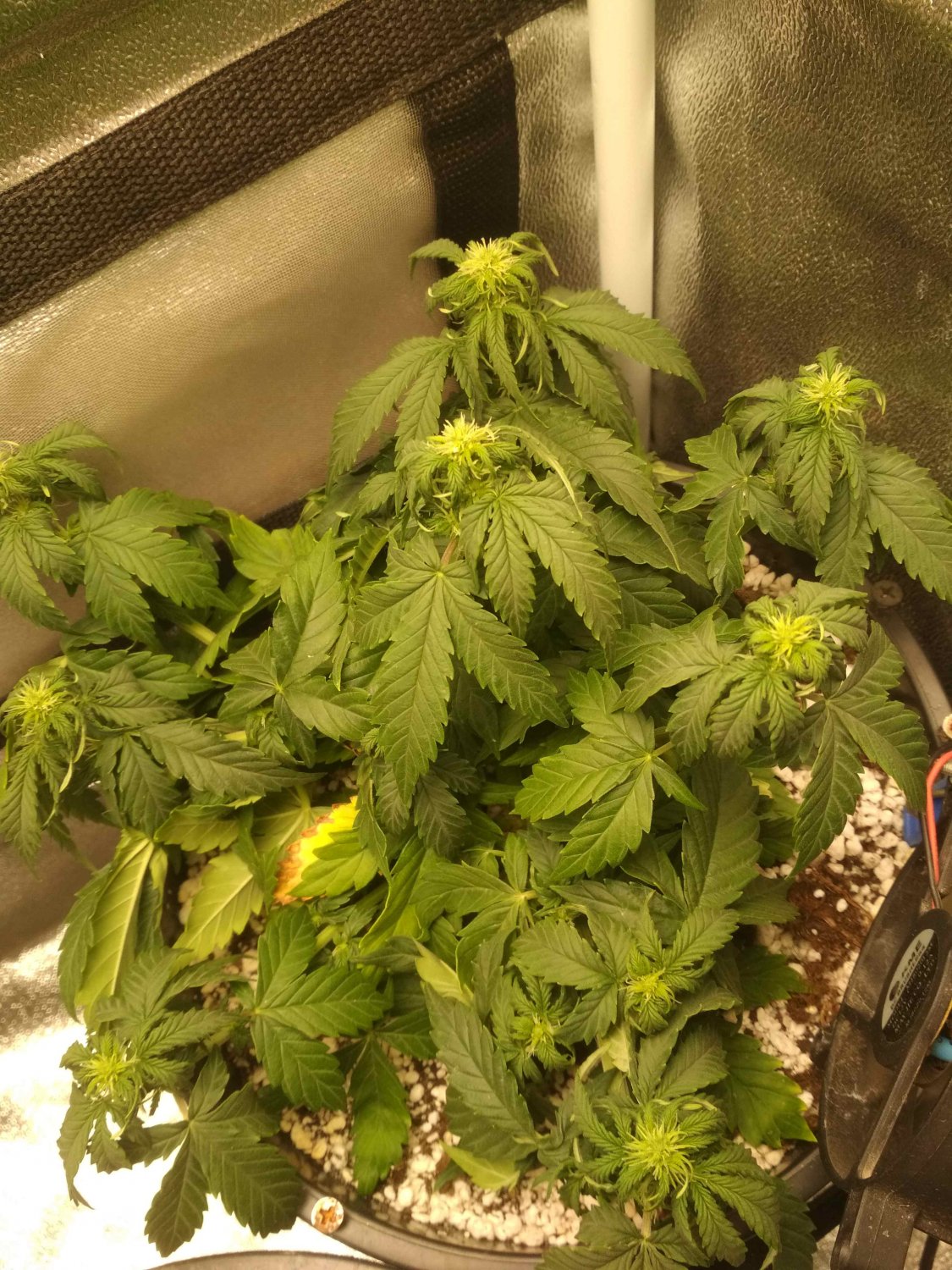 IMG_20220610_235210.jpg IMG_20220610_235210.jpg