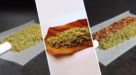 1774975828800.png 1774975828800.png