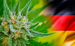 germany.jpg germany.jpg