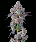 1775586010787.png 1775586010787.png