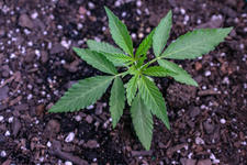 1775748394977.png 1775748394977.png