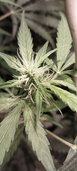 20260410_201050 — копия.jpg