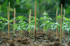 1775835933366.png 1775835933366.png