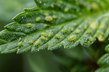 1775836048402.png 1775836048402.png