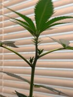 WhatsApp Image 2026-04-13 at 16.18.45 (1).jpeg