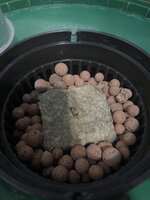 2 — копия.JPG