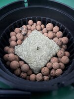 3 — копия.JPG