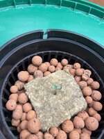 л — копия.JPG