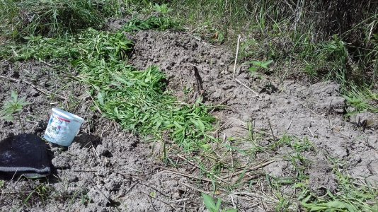 20160415_010639.jpg 20160415_010639.jpg