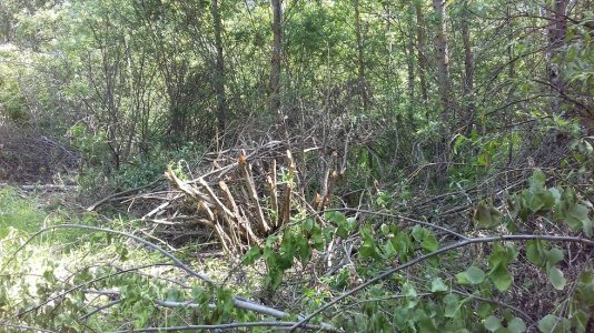 20160415_010930.jpg 20160415_010930.jpg