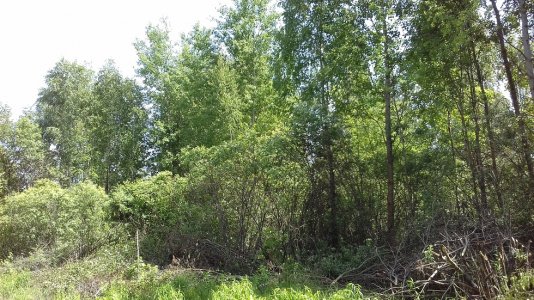 20160415_011205.jpg 20160415_011205.jpg