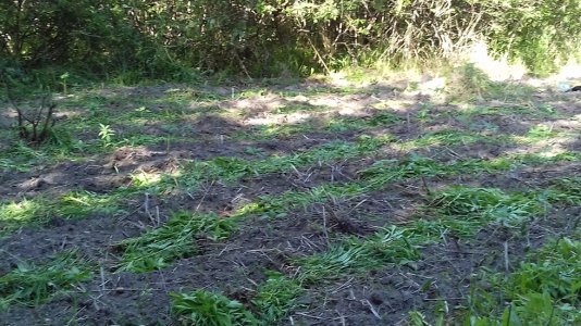 20160415_041117.jpg 20160415_041117.jpg