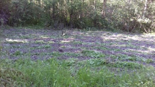 20160415_041201.jpg 20160415_041201.jpg