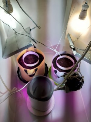 20220613_224416.jpg 20220613_224416.jpg