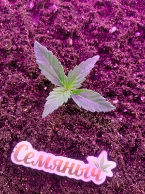 20220614_123733.jpg 20220614_123733.jpg