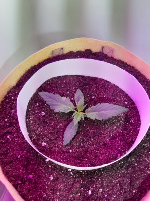 20220614_125204.jpg 20220614_125204.jpg