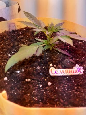 20220614_135411.jpg 20220614_135411.jpg